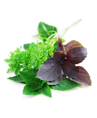 Manufacturers Exporters and Wholesale Suppliers of Basil Oil kannauj Uttar Pradesh